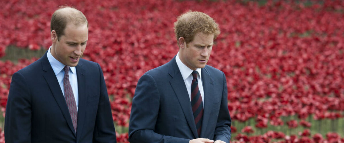 Harry e William smentiscono le loro divergenze e il presunto “bullismo”