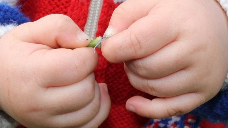 Stresa-Mottarone: Eitan è fuori pericolo e non ricorda nulla dell’incidente