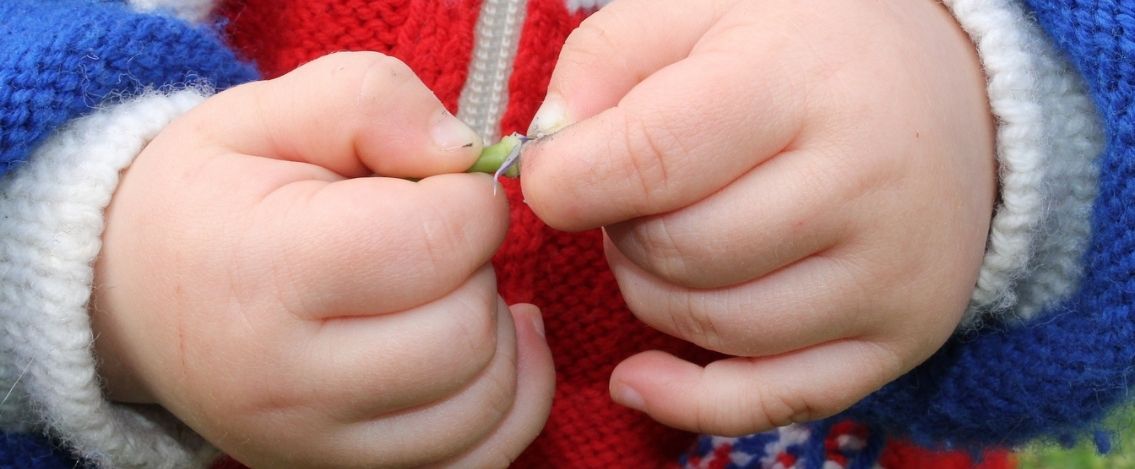 Eitan tornerà in Italia. Il giudice ordina il rientro immediato