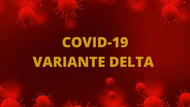 Variante Delta, in Italia è presente in 16 regioni e nel 22,7% dei contagi