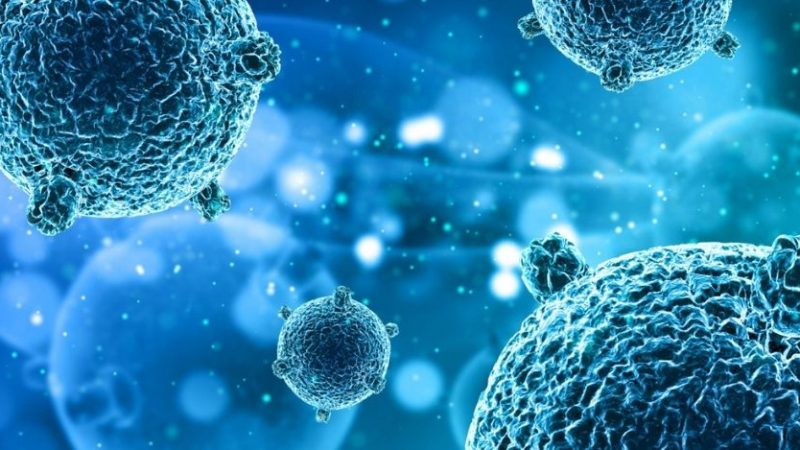 Vaccino “Jolly” per i coronavirus, funziona sui topi