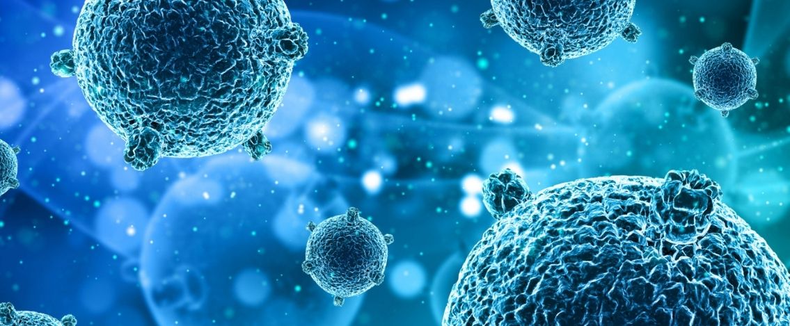 Vaccino “Jolly” per i coronavirus, funziona sui topi