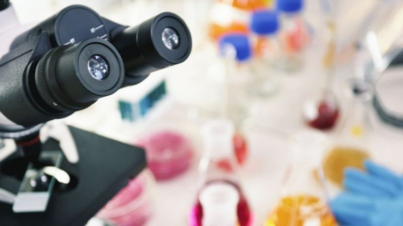 Immunità innata da Covid, uno studio italiano svela il meccanismo