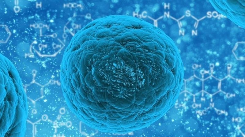 Epatite acuta nei bambini, il parere del Ministero della Salute