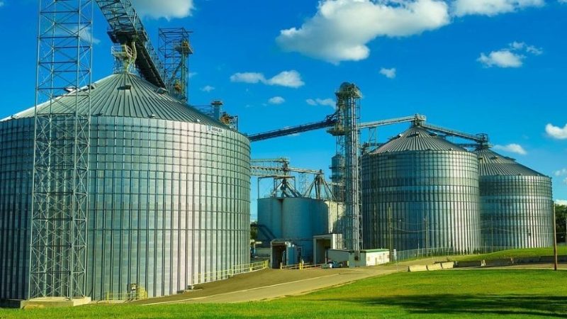 Grano dall’Ucraina, nuove rotte per garantire i rifornimenti