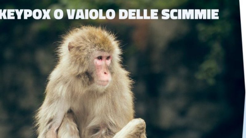 Vaiolo delle Scimmie, è allarme internazionale