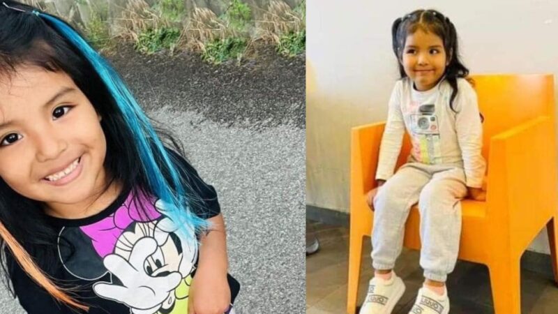 Short news, dall’Italia e dal mondo: le notizie dell’11 giugno in un click