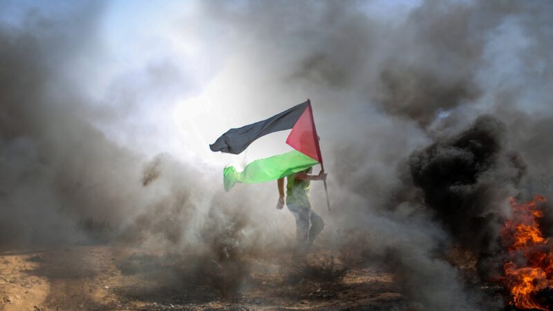 Proteste studentesche contro Gaza, scarcerati due studenti