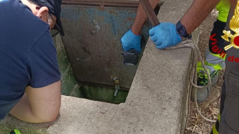 Short news, dall’Italia e dal mondo: le notizie del 3 luglio in un click